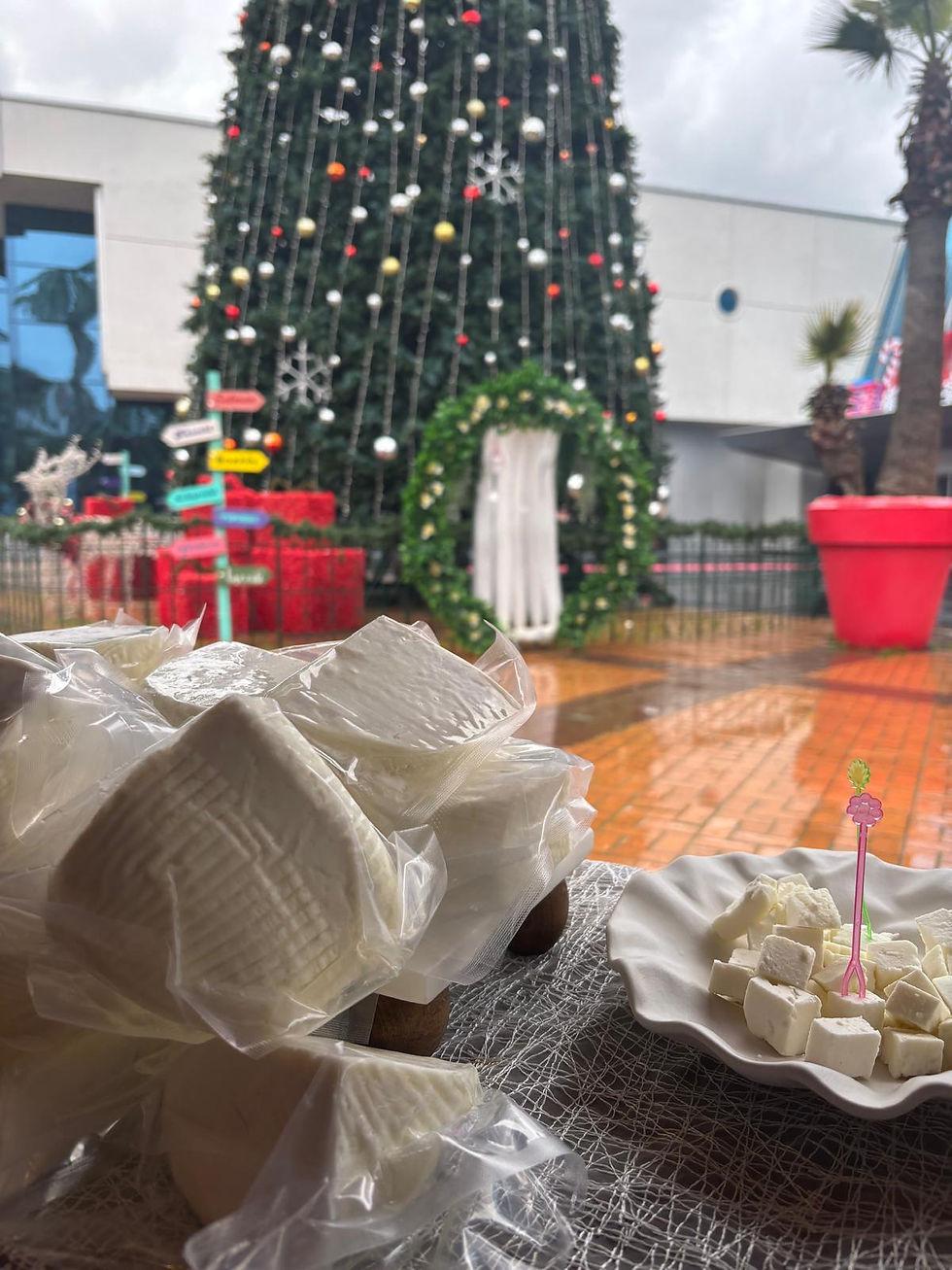 AGORA AVM İZMİR - KARABURUN BELEDİYESİ NERGİS FESTİVALİ ŞÖLENİ