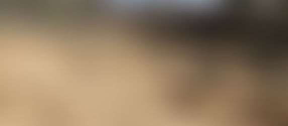 𝐏𝐥𝐨𝐧𝐠𝐞𝐳 𝐞𝐧 𝐢𝐦𝐚𝐠𝐞𝐬 𝐚𝐮 𝐜œ𝐮𝐫 𝐝𝐞𝐬 𝐟𝐨𝐮𝐢𝐥𝐥𝐞𝐬 𝐝𝐞 𝐥’𝐚𝐧𝐜𝐢𝐞𝐧𝐧𝐞 𝐚𝐛𝐛𝐚𝐲𝐞