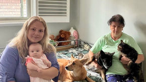 Urgently searching for new landlords and hosts