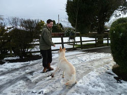 Ballykine Boarding Kennels 23.jpg