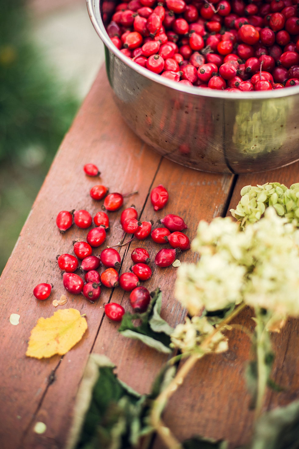 Thumbnail: 100% Organic Cold-Pressed Rosehip Hip Oil