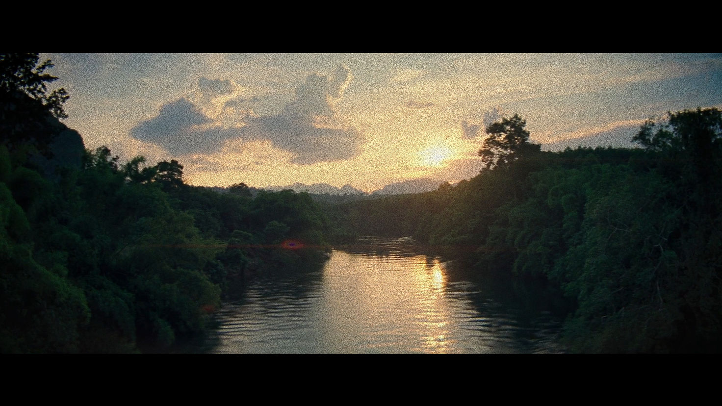 Jungle Background