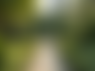 Transform Your Outdoors with Expert Landscape Designers