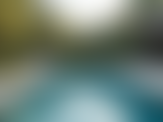 Transforming Your Backyard into a National Award-Winning Pool Garden Oasis in Coastal NC