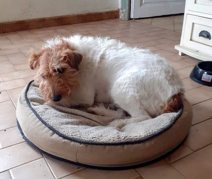 ORION 244450471_2082181811922913_6942641302454448793_n_edited.jpg