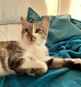 PAKITA 244455801_404448807878289_7677020397951195720_n_edited.jpg