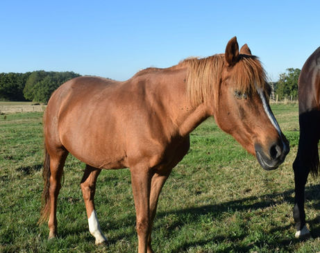 JANEKO 25 ANS 307910537_841160747139699_5906154749039027168_n_edited.jpg