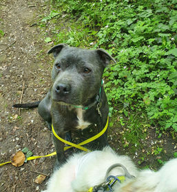 MOJO 350482106_262291576283058_1097233433038167542_n.jpg