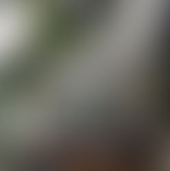 HÁROM KÁVÉZÓ, HÁROM HANGULAT - KRAKKÓ