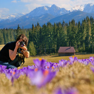 KÖZEL SZÁZEZER FORINTBA KERÜLHET EGY KRÓKUSZ FOTÓ