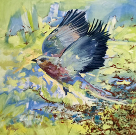 Rollerbird