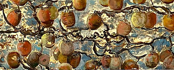 Kiwi vine.jpg