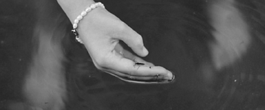 Screenshot 2025-08-01 alle 18.14.53.png