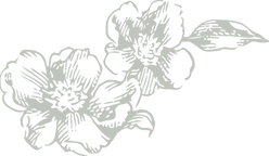 artwork-11.png