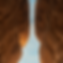 Image 15.png