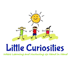 Little Curiosities logo