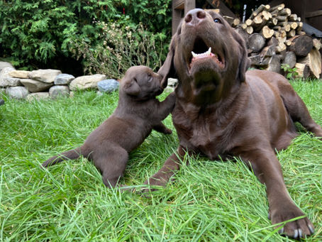 Pas toujours reposant d’être une maman!