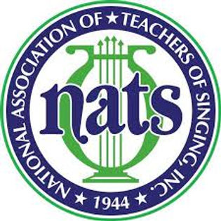 NATS.jpeg