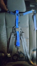 Valkyrie Link in Vehicle