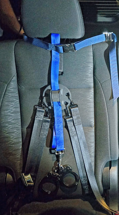 Valkyrie Link in Car