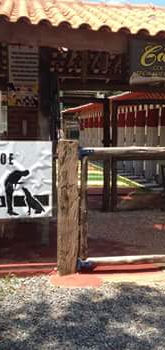 Cão de Ouro Hotel para cães Asilo para cãesCão de Ouro Hotel para cães Asilo para cães