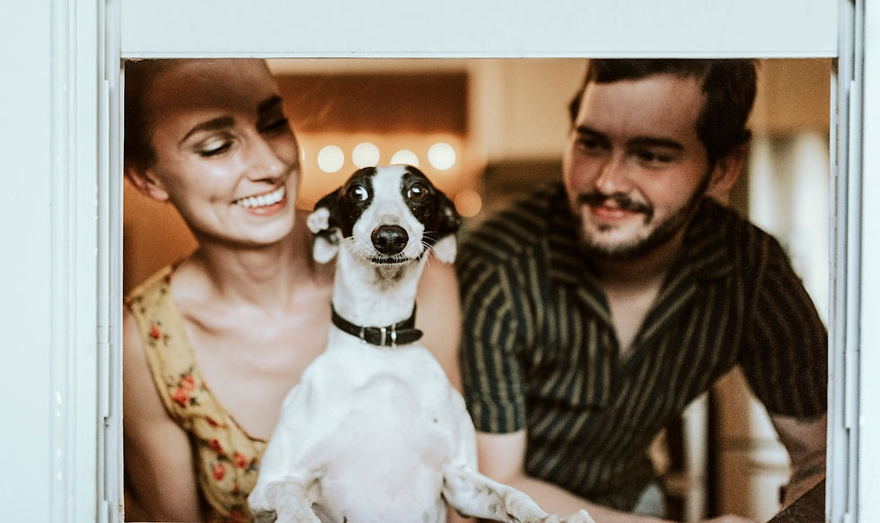 O Que Seu Cão Está Lendo em Você Antes de Qualquer Comando
