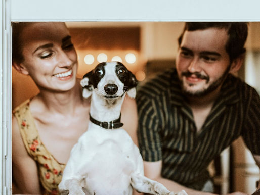 Você Conhece Tudo Que o Instituto Cão de Ouro Oferece?
