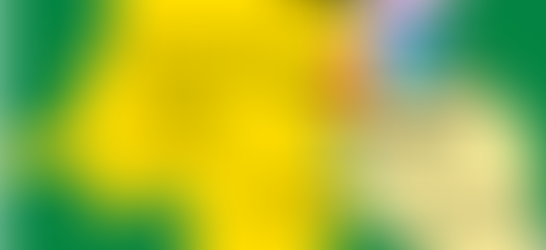 La Nécessité de Repenser les Relations dans l'Est de la République Démocratique du Congo