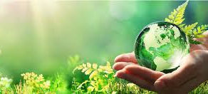 ASNAD consultants for NGOs