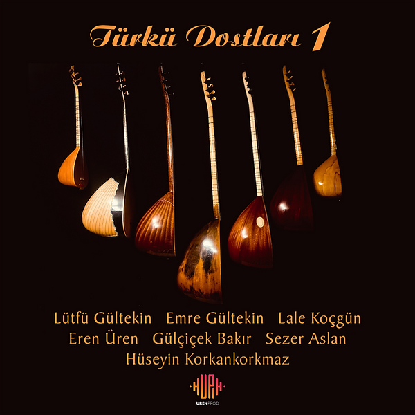Türkü Dostlari 1
