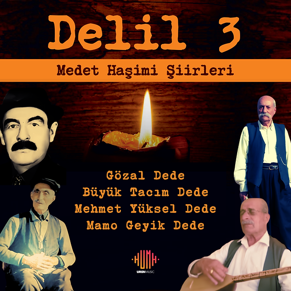 Delil Medet Haşimi Şiirleri.png