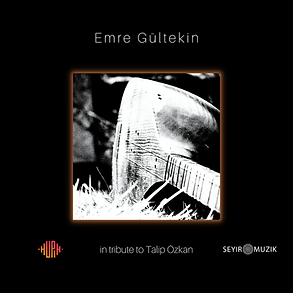 L'art vivant de Talip Özkan