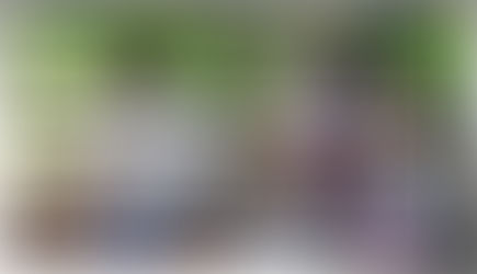 Projeto de equoterapia busca voluntários