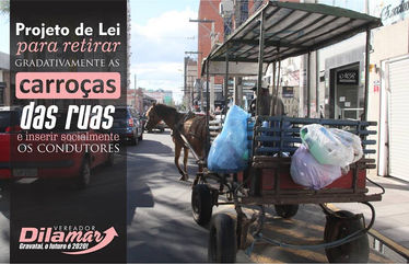 Projeto de minha autoria retira gradativamente as carroças das ruas!