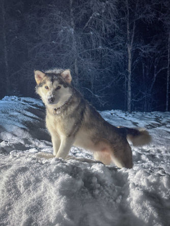 Lumi mit 2 Jahren - 01.2026