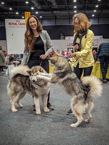 "Na und, dann hab halt eine bessere Bewertung als ich!"