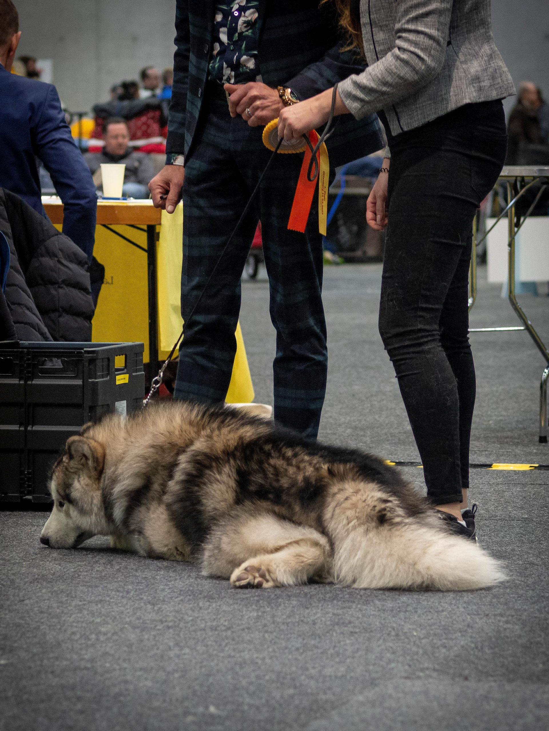 Zero in Offenburg - so ganz langsam wird es