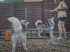 Wenn sie will, dann kann sie!