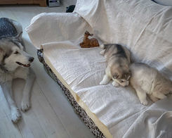 Gruppenfoto - 16.01.2025