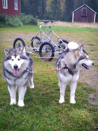 Team Cathi - mit Zero und Nukka am Wagen