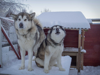 "Mein liebster Manouk..."