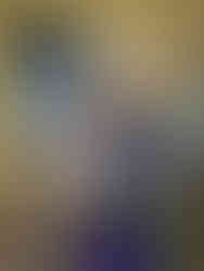 Dark Kallik of Cathi's Meadow Garden - 9 Wochen alt