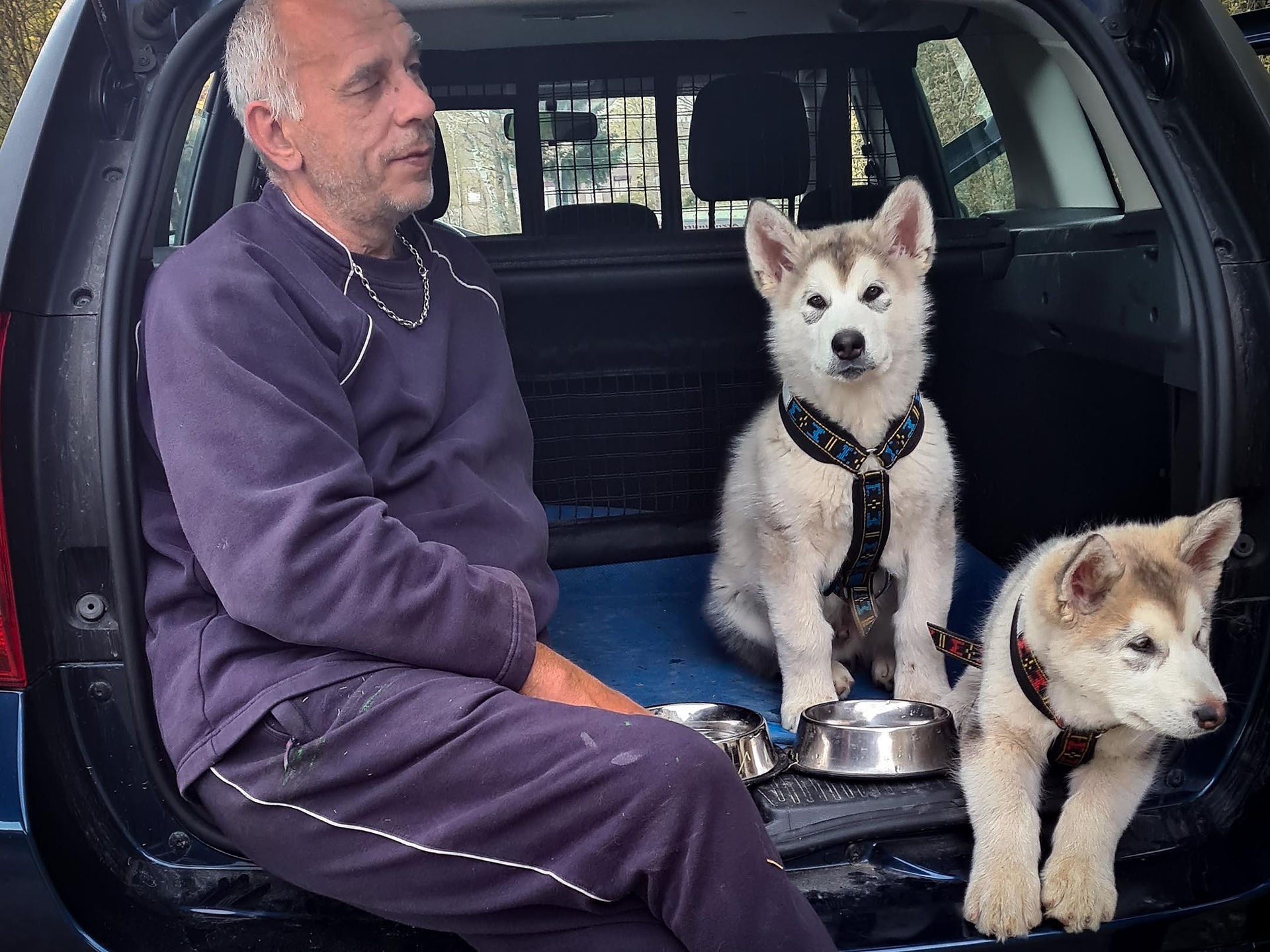Manouk und Miska mit 2 Monaten