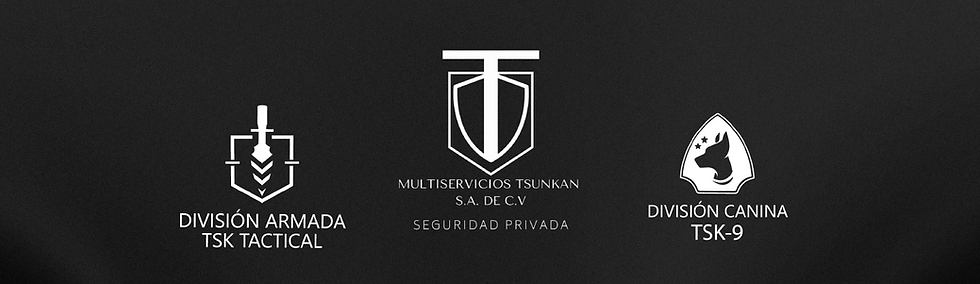 Divisiones  autorizadas