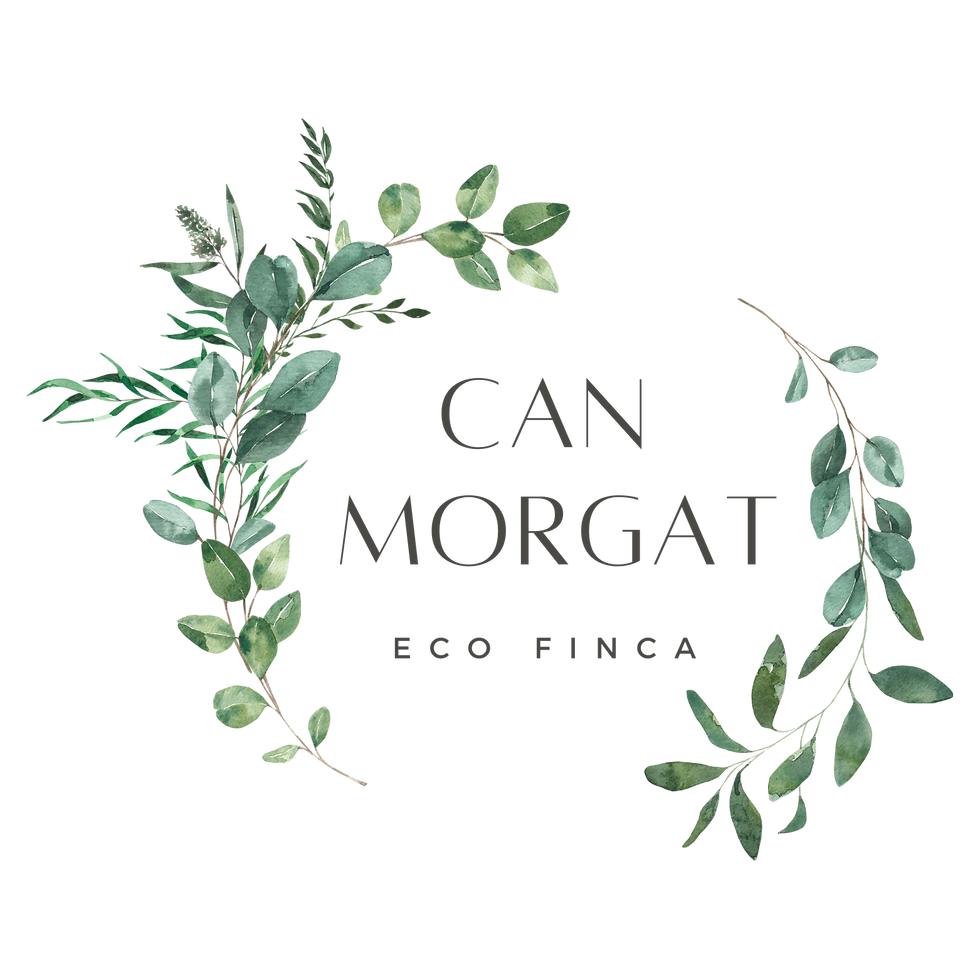Can Morgat Logo
