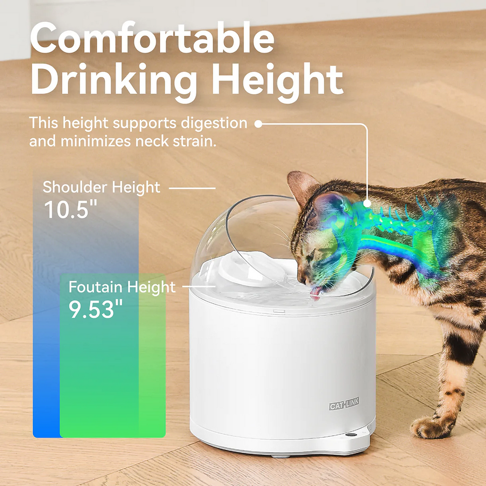 Thumbnail: Quiet cat water fountain