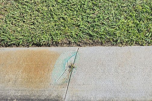 Curb treated and untreat with Rust Funk Fix.JPG