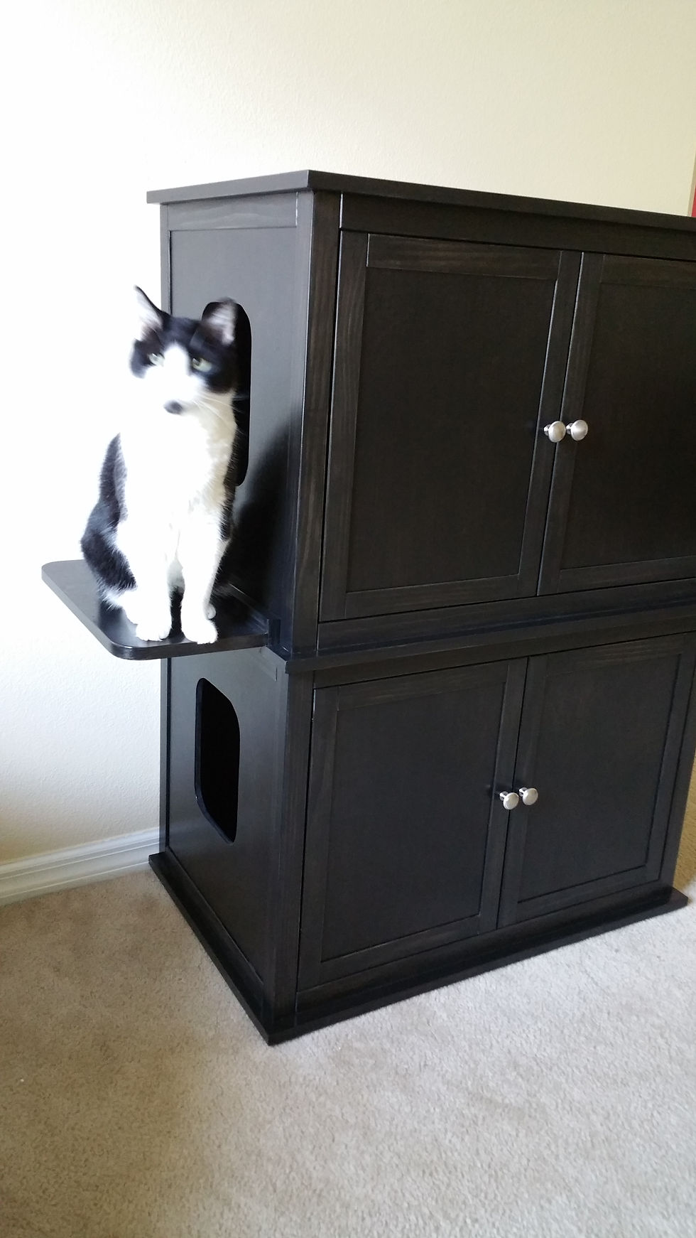 Thumbnail: Double Stacked Cat Cabinet