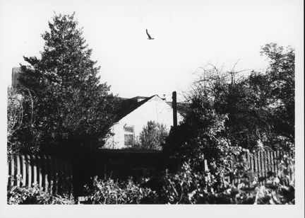 Darkroom Print
Ilford HP4