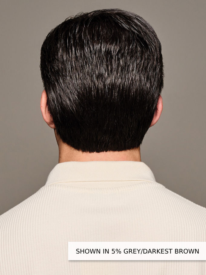 Thumbnail: style elite men's wig by him back view
